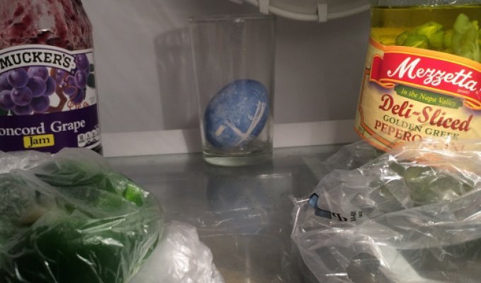 Пасхальное яйцо, которое 25 лет пролежало в холодильнике (5 фото)