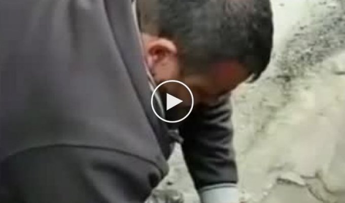 В Турции мужчина спас щенка, сделав ему искусственное дыхание