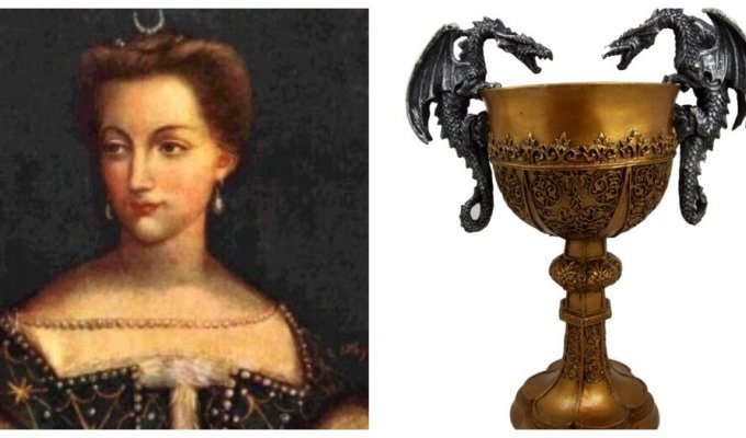Golden Diana: the main woman in the life of Henry II, who killed herself in an attempt to preserve her beauty (6 photos)