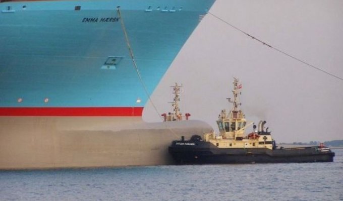 Крупнейший в мире контейнеровоз Emma Maersk (7 фото)