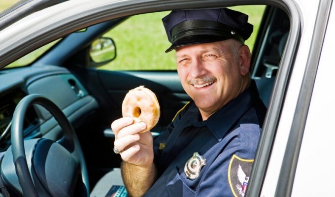 Почему полицейские едят пончики? (4 фото)