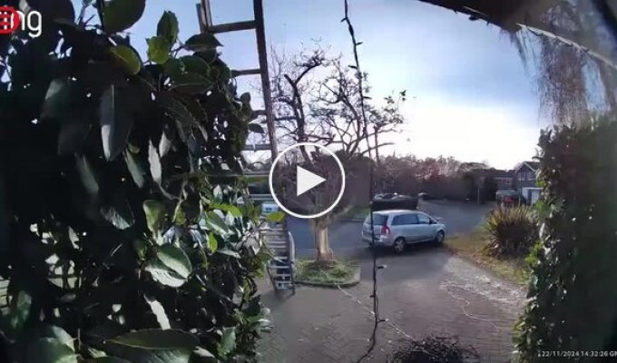 Праздничная неудача: мужчина упал с лестницы, вешая гирлянды