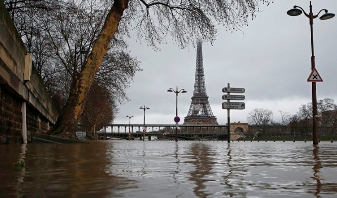 Сена затопила Париж (8 фото)