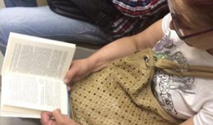 Необычная книга пассажирки метро (3 фото)