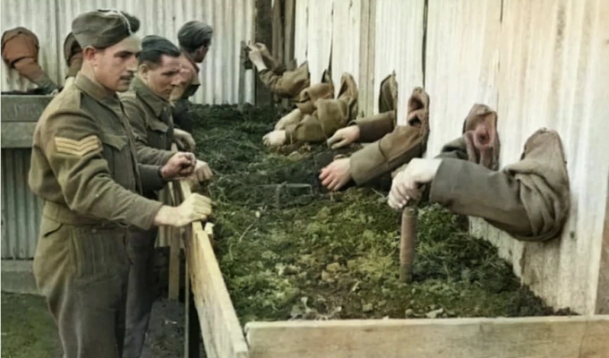What's happening in this strange photo from World War II (6 photos)