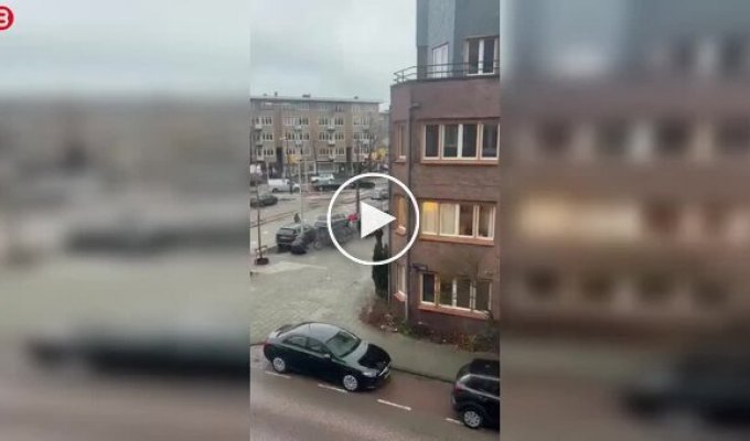 Нелепый поступок почтальона