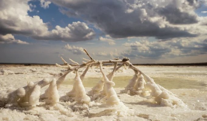 Salt lakes: how does life try to exist in the realm of absolute death? (10 photos)