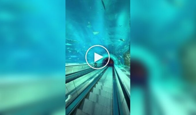 Самый необычный эскалатор в мире
