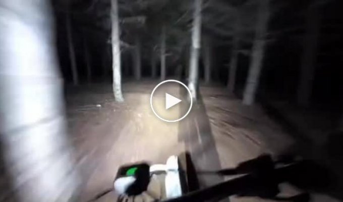 Dark forest speed escape