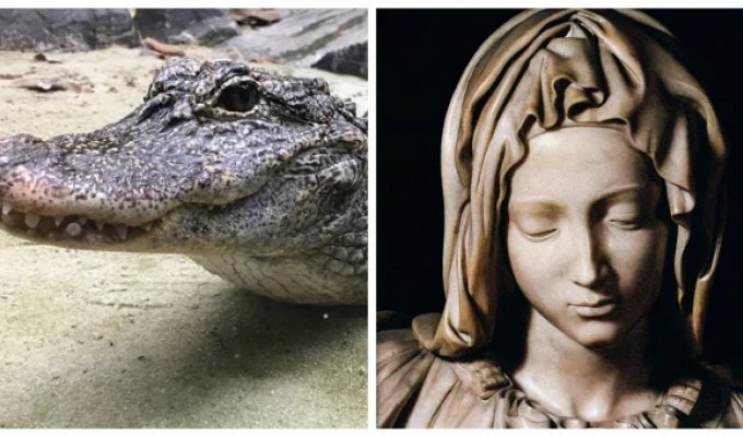 8 фактів, які змусять переосмислити щось у цьому житті (10 фото)