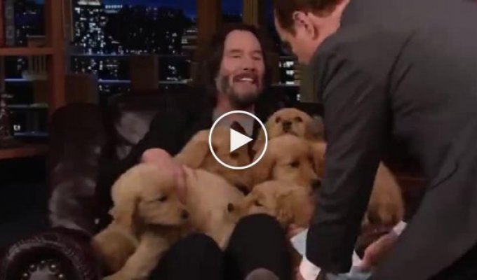Keanu Reeves proclaimed himself the Puppy King after winning six puppies in a quiz