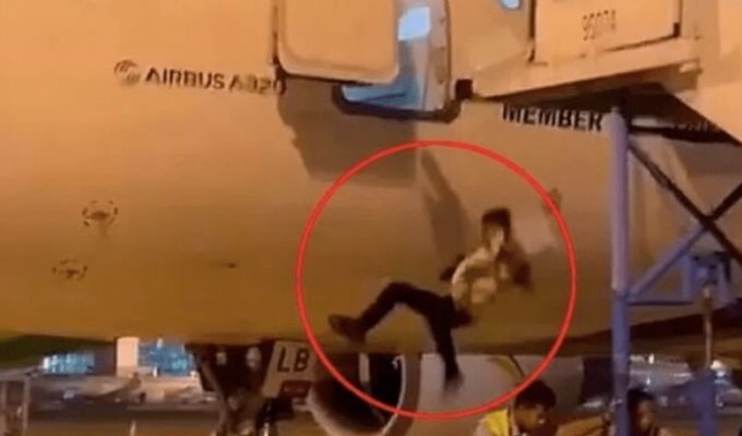 Чоловік випав із літака Airbus A320, коли прибирали трап (2 фото + 1 відео)