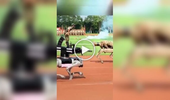 В Китае робособак научили пользоваться гранатометом