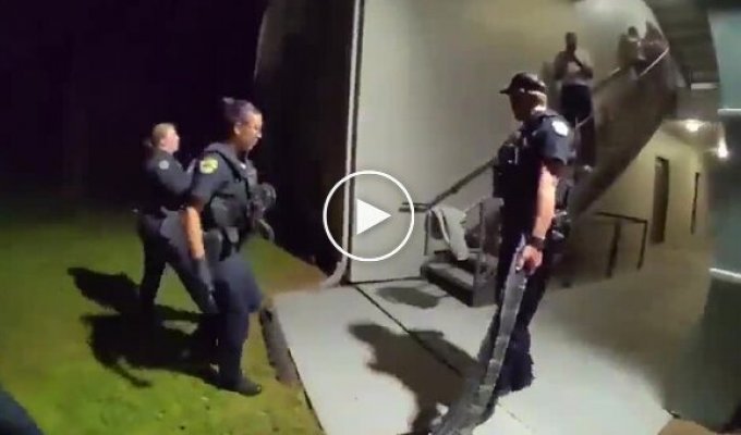 Необычная находка: аллигатор проник в жилой дом в Орландо