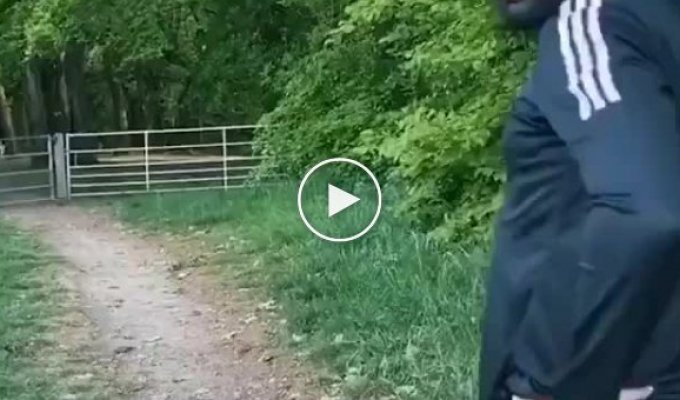 Акробат перепрыгивает через забор