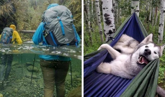 17 interesting moments that people managed to photograph when they went hiking (18 photos)