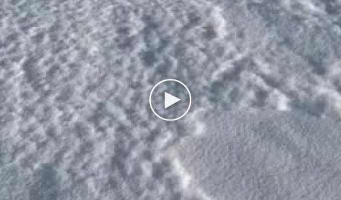 Военный самолет пролетел в нескольких метрах от людей над замерзшим Обским водохранилищем (мат)