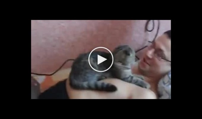 Необычная любовь кошки к хозяин