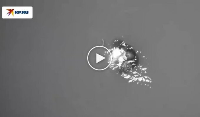 Ловушка для ловли лобстеров спасла жизнь серфингисту