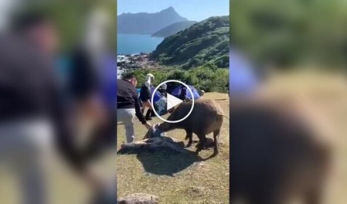 Спроба пограбування туриста