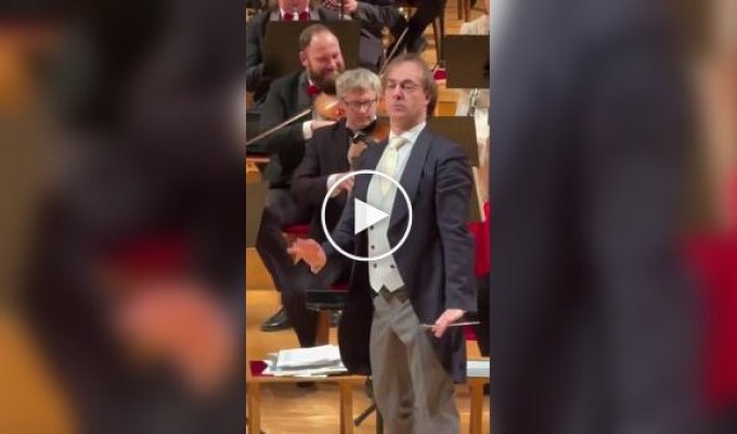 Дирижер с юмором