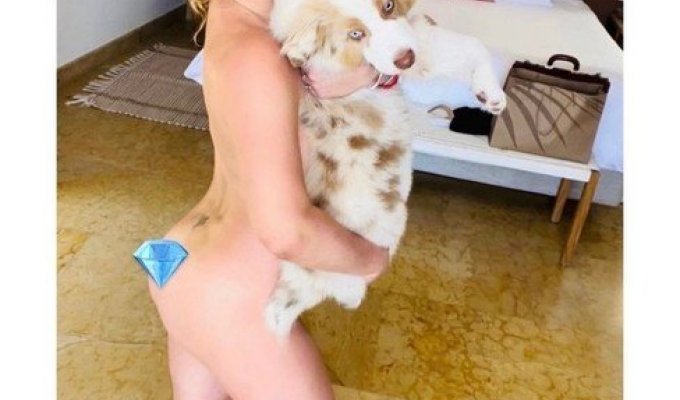 Беременная Бритни Спирс прикрывает обнаженное тело собакой (2 фото)