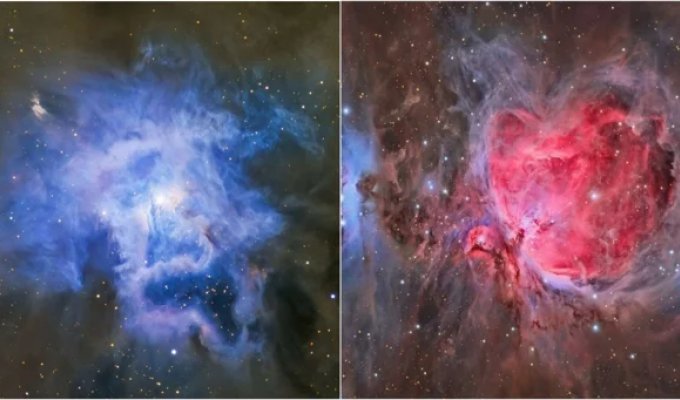 Миллиарды световых лет красоты: Звездные оранжереи к 8 Марта (5 фото)