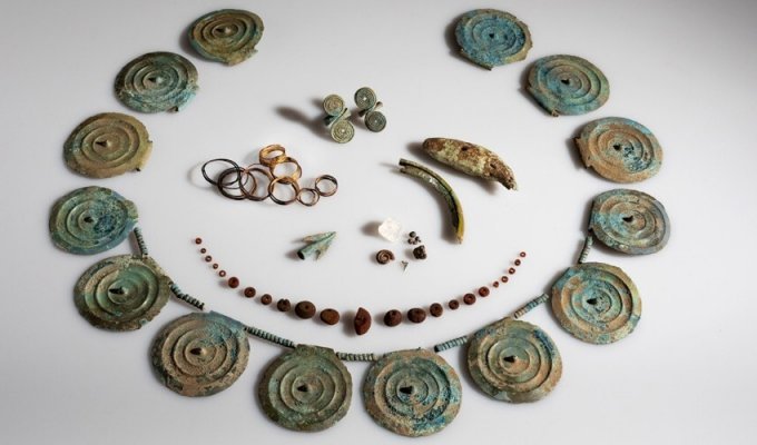 Beaver tooth, shark and gold jewelry from the Bronze Age: an unusual treasure discovered in Switzerland (3 photos + 1 video)