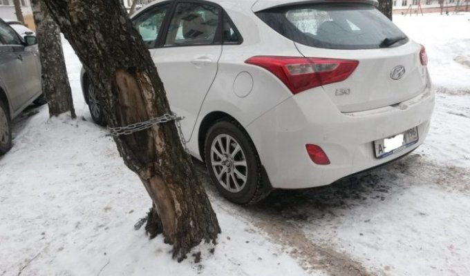 В Свердловской области происходит захват мест на дворовых парковках (12 фото)