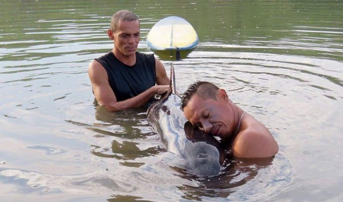 Серферы спасли плачущего китенка в Коста-Рике (3 фото + 1 видео)