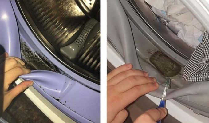 Как ваша стиральная машина может заставить вас заболеть (4 фото)