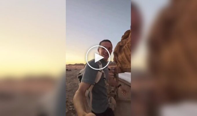 Безумное жилье с Airbnb