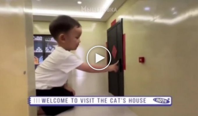 A family from China made their furry a whole apartment inside their apartment