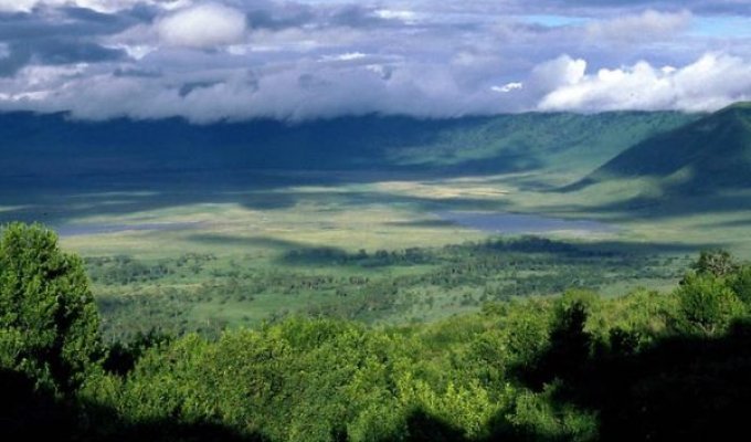 Удивительный кратер Нгоронгоро в Танзании (11 Фото)