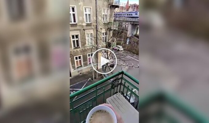 Доброе утро из Польши