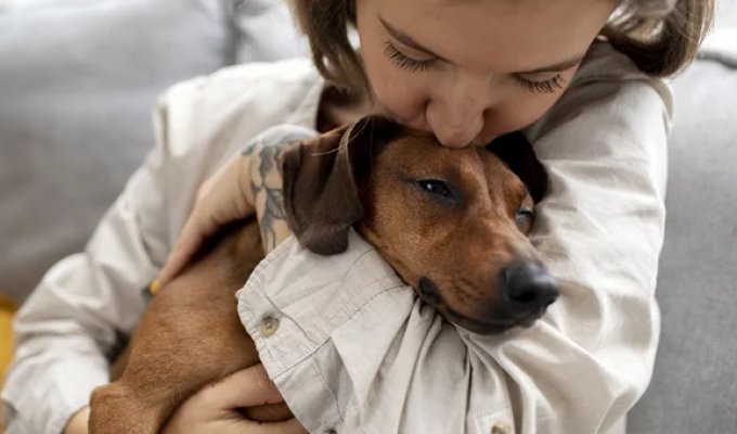 Dogs Can Cry Tears of Joy, Study Finds (3 photos)