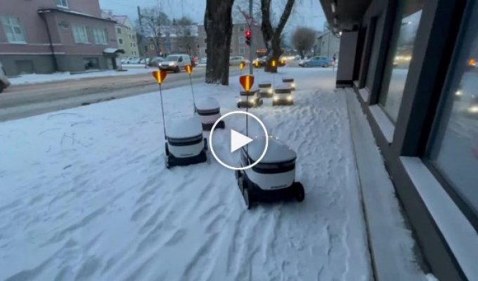 Из-за снегопада даже роботы встали в пробке
