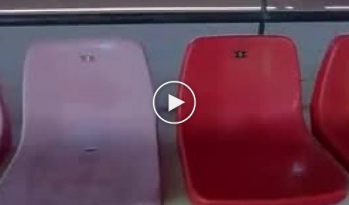 Как реставрируют сиденья стадиона