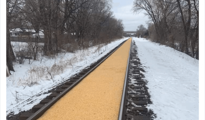 Рай перфекциониста или утечка кукурузы в Миннесоте (5 фото + видео)