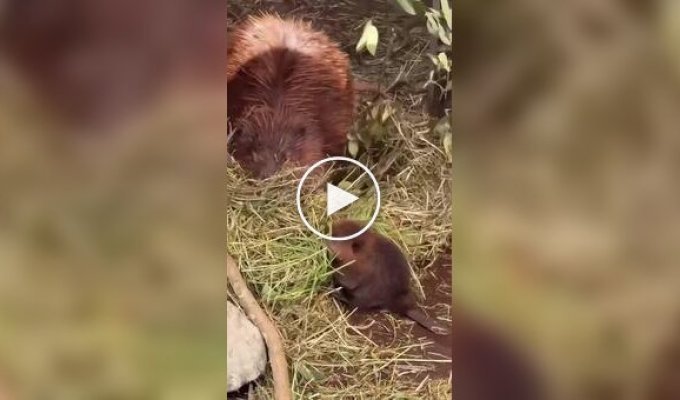 Первый день на работе