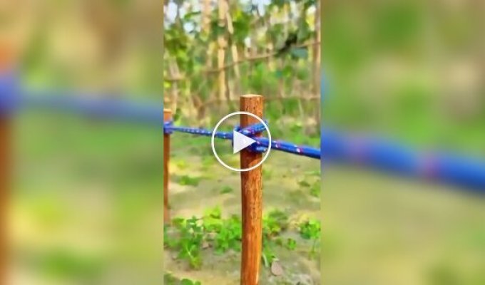 Вузли на всі випадки життя