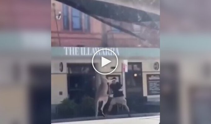 Жителі Австралії з'ясовують стосунки