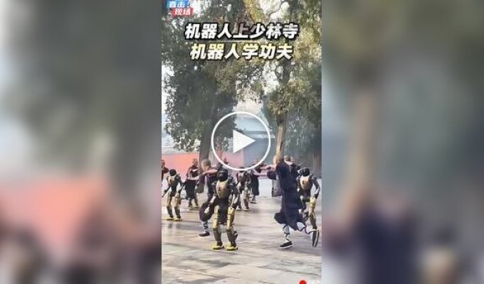 Роботы выступили вместе с мастерами Шаолиня