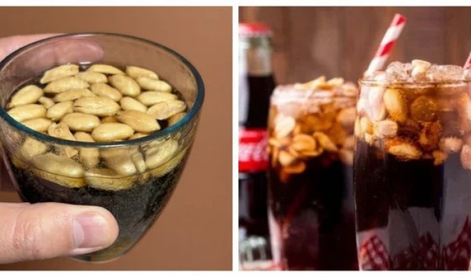 Японцы открыли для себе колу с солёным арахисом (6 фото + 1 видео)