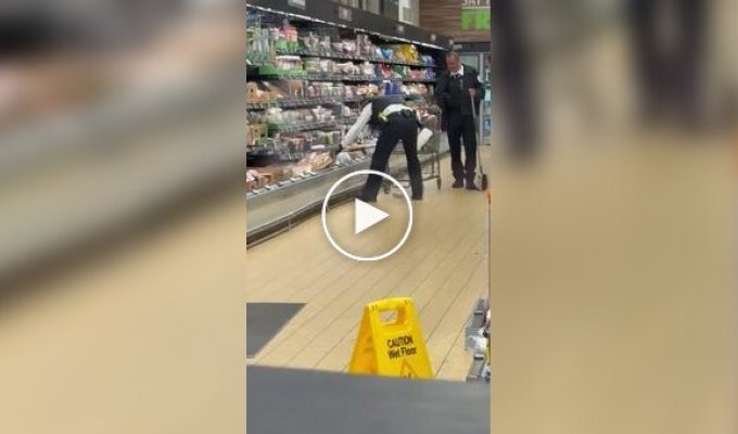 Койот спрятался в продуктовом отделе магазина