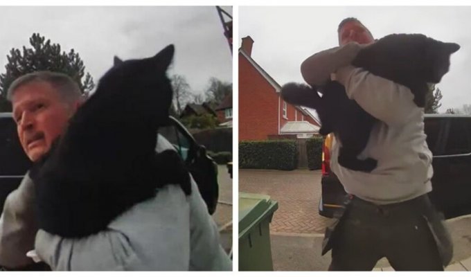 Сантехнік помилково повернув клієнтці сусідського кота (7 фото + 1 відео)