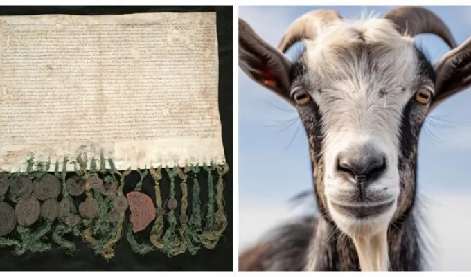 Кожаные облигации XVII века, которые ухитряются до сих пор приносить доход (7 фото)