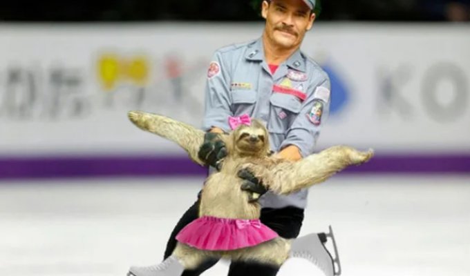 25 Winning Entries from Epic Photoshop Battles (27 Photos)