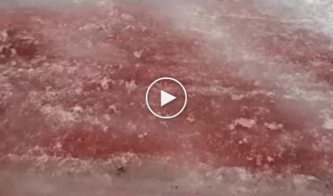 Ледник Водопадный на Алтае окрасился в красный цвет