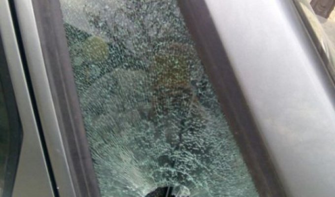 Зонтик выбил автомобильное стекло (2 фото)